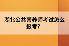 湖北公共营养师考试怎么报考？